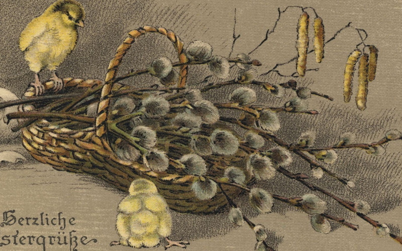 high angle view, plant, healthy eating, postcard, branches, text, large group of animals, 1080P, freshness, nature, Verba, yellow, no people, kidney, young bird