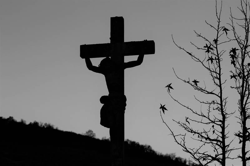 cross, belief, religious equipment, 5K, no people, france, photo, field, jesus christ, tree, crucified, symbol, plant, nature, person, religion, bare tree
