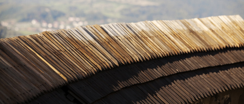 brown, tree, day, wood, wood - material, roof tile, nature, roof, textured, close-up, wood grain, pattern, outdoors, architecture, wood shingles, backgrounds