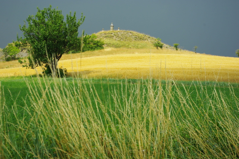 farm, aveyron, landscape, rural scene, plantation, calvary, france, growth, tranquil scene, scenics - nature, tranquility, summer, beauty in nature, tree