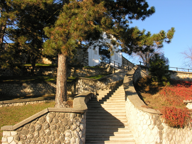 tree, sunlight, sky, calvary, outdoors, pécs, low angle view, built structure, 2K, architecture, connection, growth, sunny, the way forward, autumn, steps and staircases
