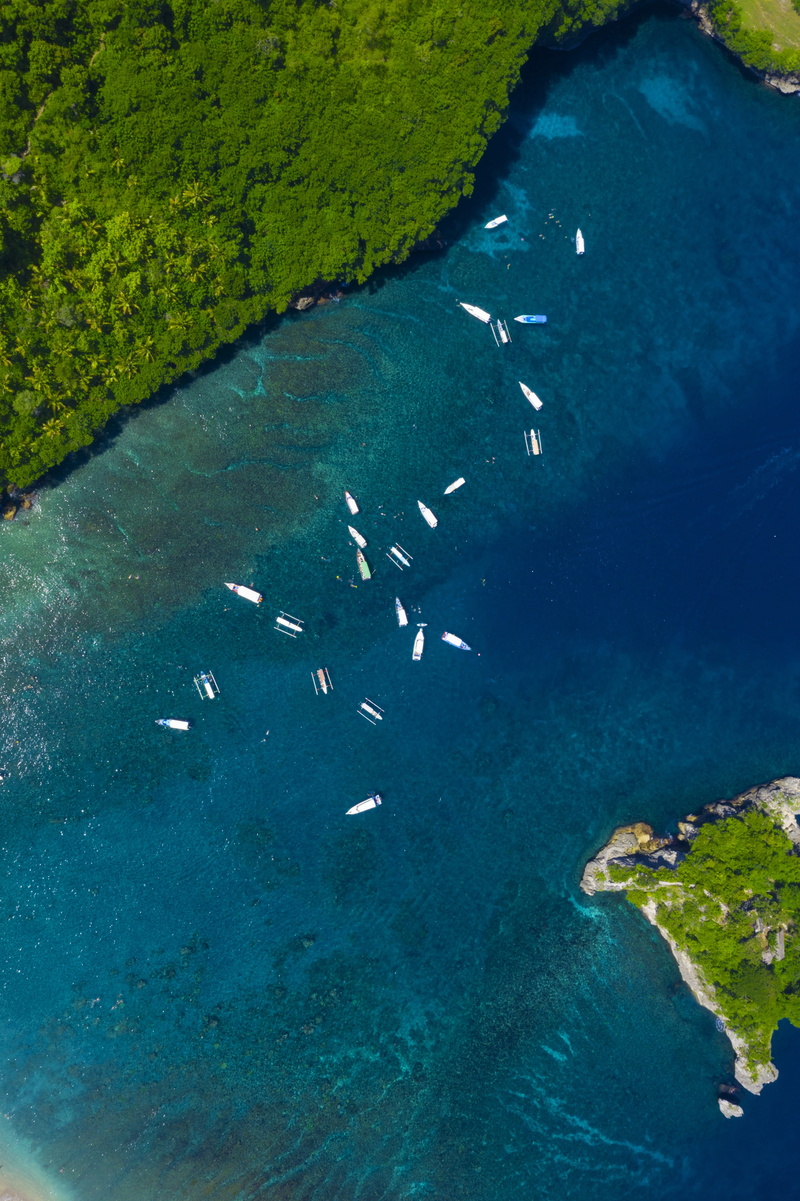 ocean, in the summer of, animal wildlife, group of animals, sand, see, summer, nusa penida, 5K, sea, animal, no people, animals in the wild, wave, large group of animals