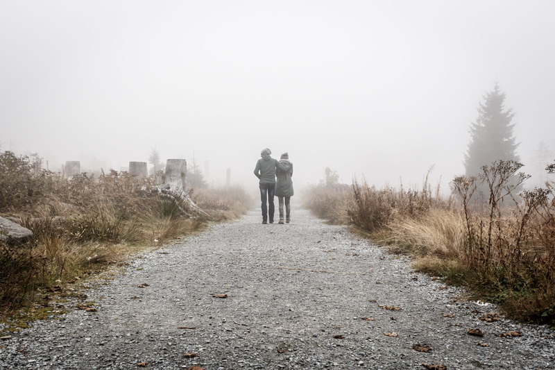 two People, transportation, day, tree, full length, rear view, walking, people, rural scene, walk, men, outdoors, direction, person, sky, plant, nature