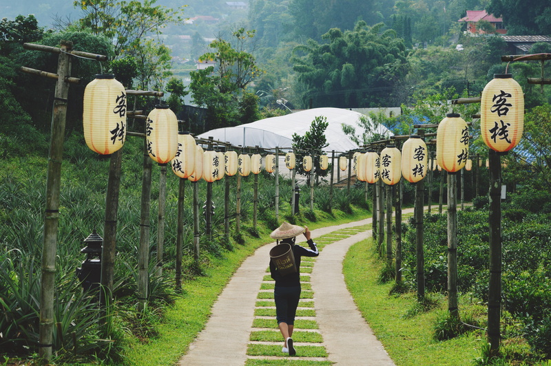 lanterns, bamboo, highland, field, tree, leisure activity, post, green, besides, one woman only, women, real people, lifestyles, footpath, daytime, garden