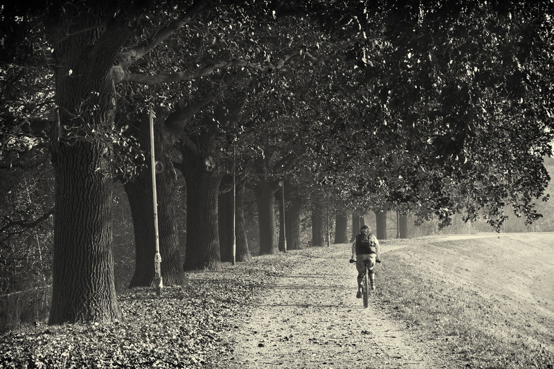 transportation, real people, lifestyles, direction, trial, cyclist, grass, biker, black and white, near, leisure activity, bike, one woman only, outdoors
