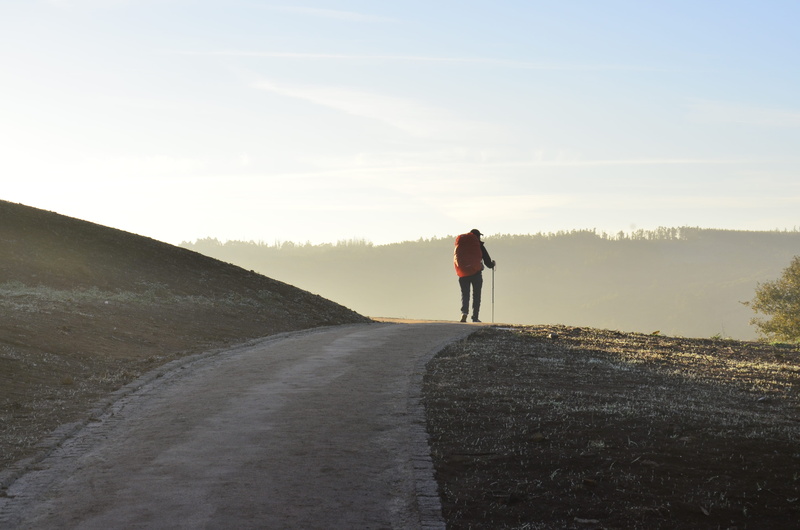 the way forward, 4K, men, lifestyles, time Of Day, sport, day, standing, exercising, nature, sky, caucasian Ethnicity, direction, rear view, full length