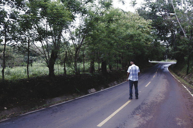 black, bottoms, outdoors, men, walking, alone, day, city, dress, pants, street, rear view, grass, people, path, standing, blue, adults only, real people