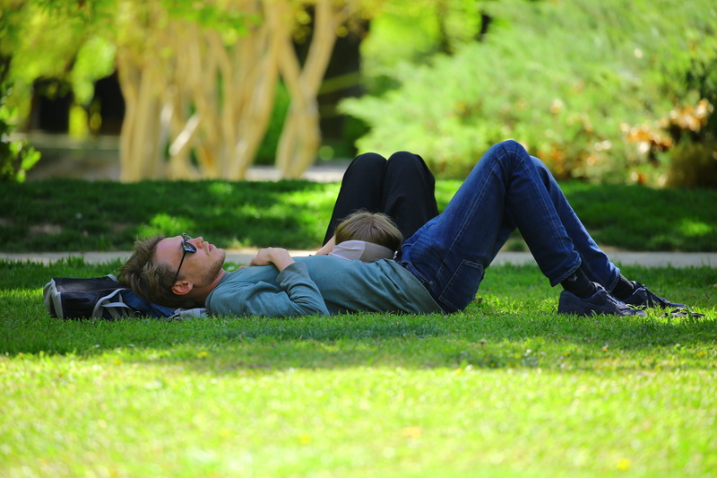 sleeping, nature, wireless technology, love, stomach, happiness, man, lying down, field, two people, girl, togetherness, woman, summer, daytime, day, childhood