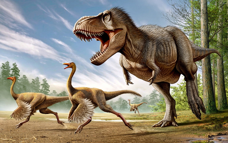 animals, rex, tyrannosaurus, dinosaur, ancient, 1080P