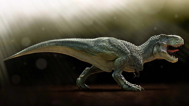 lizard, profile view, focus on foreground, carnivore, mouth open, predator, amphibian, no people, nature, extinct, animal, mouth, teeth, vertebrate, fangs