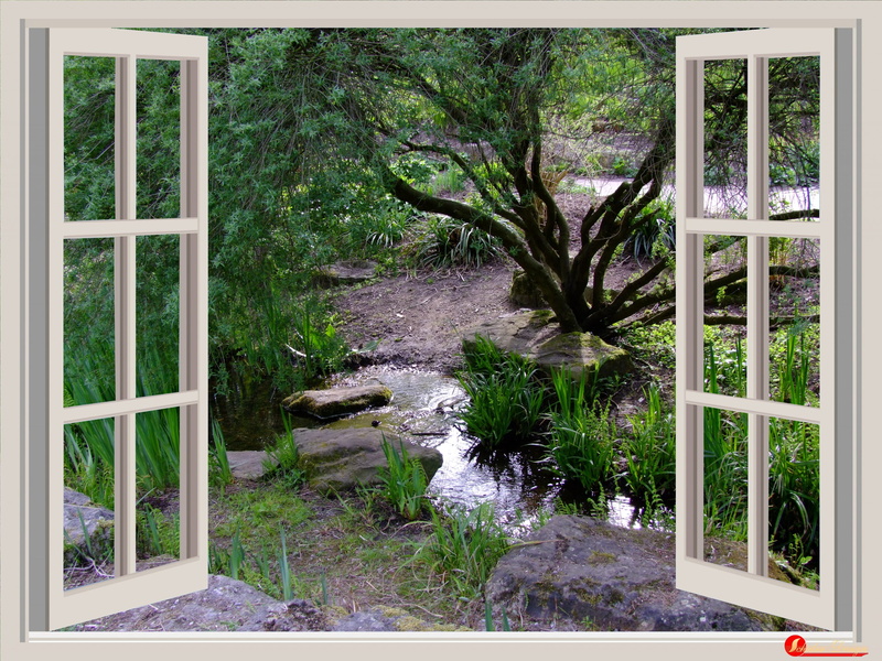auto post production filter, white, grass, wooden, garden, bach, tranquility, beauty in nature, green color, plant, window, home Interior, photo montage