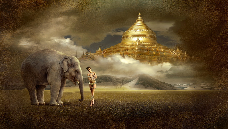 golden, one animal, atmosphere, ray of hope, dust, animal themes, dream world, landscape, nature, elephant, girl, sky, gloomy, digital composite, mystical