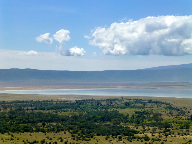 forest, landscape, plant, tree, tranquil scene, non-urban scene, view, places of interest, horizon, tranquility, no people, 4K, mountain, serengeti, outlook