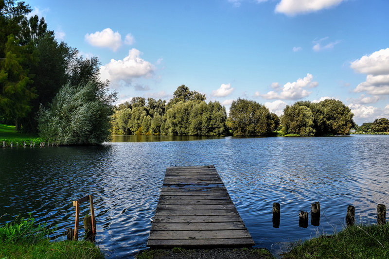 lake, tranquil scene, scenics - nature, body, mood, day, brown, sky, bridge, 5K, trees, nature, tranquility, cloud - sky, wooden, bank, beauty in nature