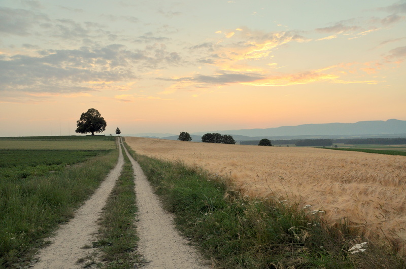 sky, outdoors, road, horizon Over Land, mood, tranquil scene, Background, field, Landscape, agriculture, land, no People, Tree, rural Scene, tranquility