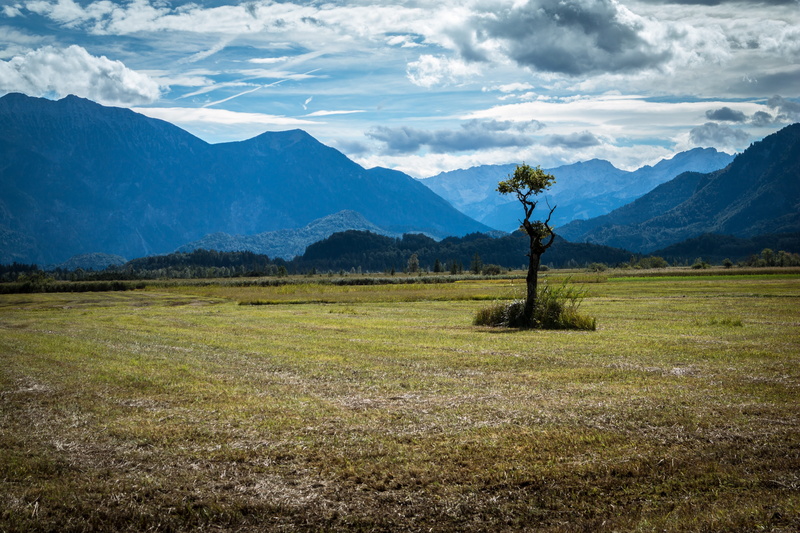 germany, environment, cloud - sky, eastern wetterstein, field, wetterstein mountains, tranquil scene, alpine, alone, foresight, meadow, idyllic, sky, 5K