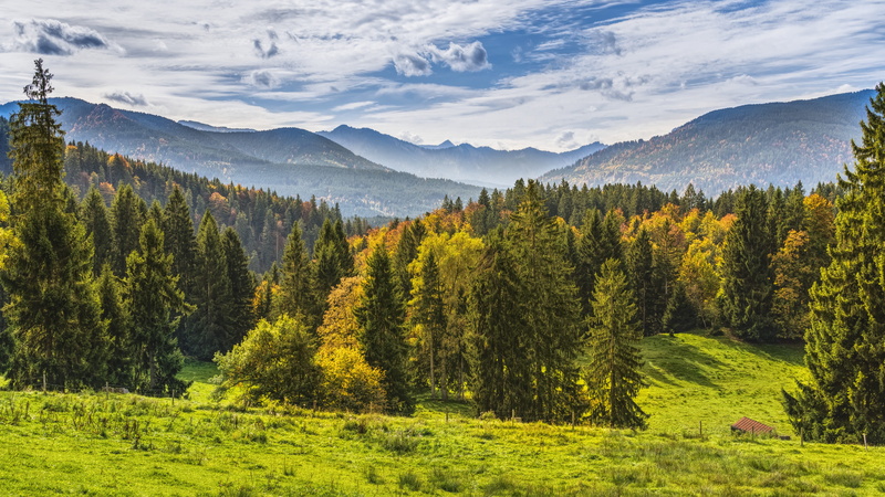 mountain range, foresight, forest, land, meadow, outdoors, color, non-urban scene, alpine, cloud - sky, no people, plant, hike, 5K, green color, pine tree