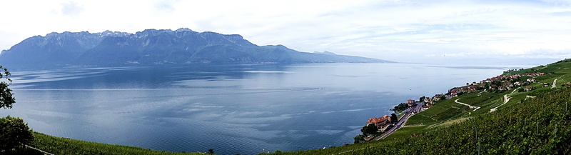 lake, switzerland, 4K, horizon, foresight, beauty in nature, idyll, lake geneva, land, plant, wide, panoramic, holiday, distant view, water, cloud - sky