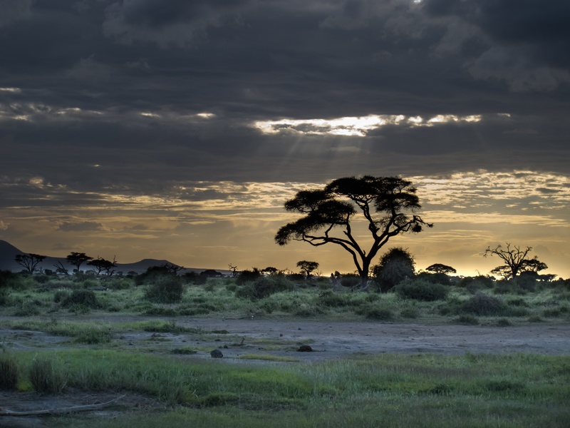 clouds, tranquility, kenya, still life, environment, beauty in nature, idyll, orange, trees, 2K, afterglow, land, scenics, scenics - nature, white, safari