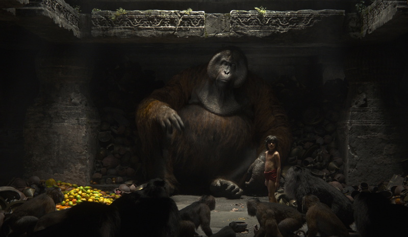 zoo, indoors, nature, day, primate, animal family, animals in the wild, architecture, Best movies of 2016, no people, food, fantasy, 4K, representation