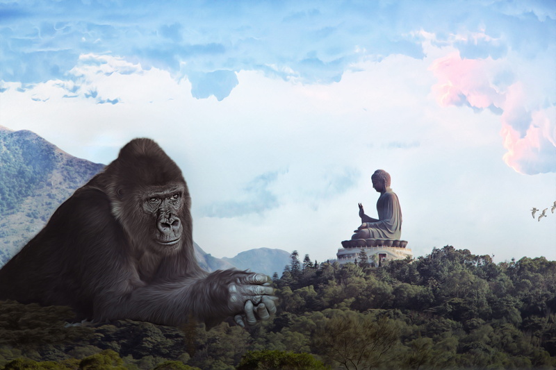 mountains, gorilla, day, cloud - sky, sky, vertebrate, marvel, pray, animal wildlife, nature, hong kong, king kong, plant, budda, monkey, relaxation, no people