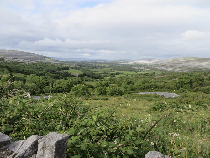 county clare, green color, no people, tree, trees, tranquility, day, growth, scenics - nature, landscape, outdoors, land, non-urban scene, nature, environment