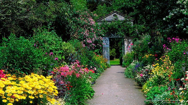garnish, ireland, Flowers/Gardens, west, garden, island, cork, 2K, walled