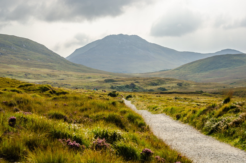 mountain, summer, grass, green, national, Connemara National Park, green grass, photo, landscape, connemara, park, 4K, scenics, nature, field, front, hill
