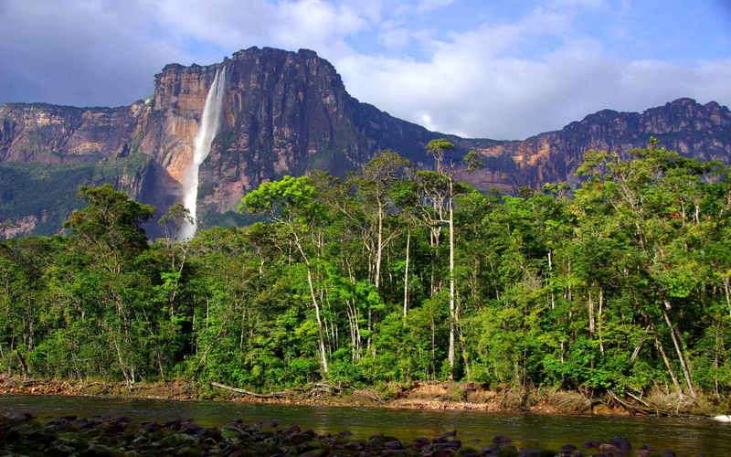 laptops, landscape, tranquility, high, forest, plant, tropical, tranquil scene, mountain range, mountains, scenics - nature, day, beauty in nature, venezuela