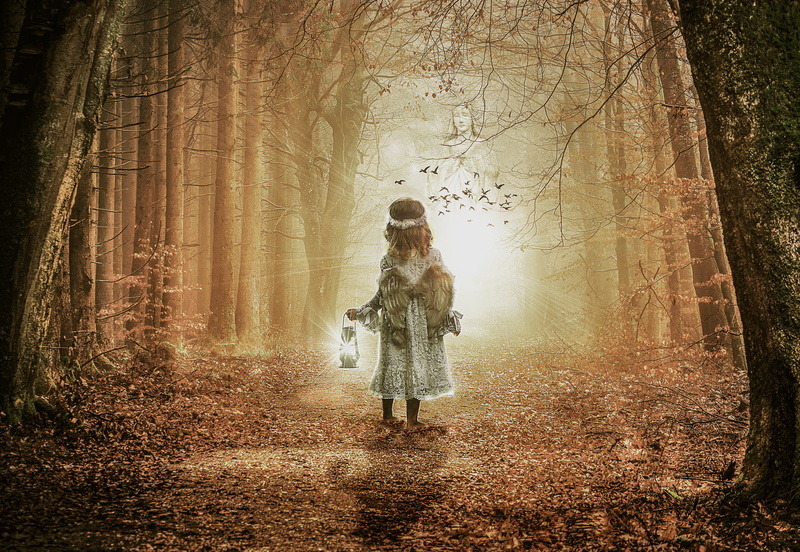 fairy, dreamy, standing, dark, leaves, wood, magical, landscape, female, direction, angel, nature, digital composite, leaf, woodland, walking, tree, mystery