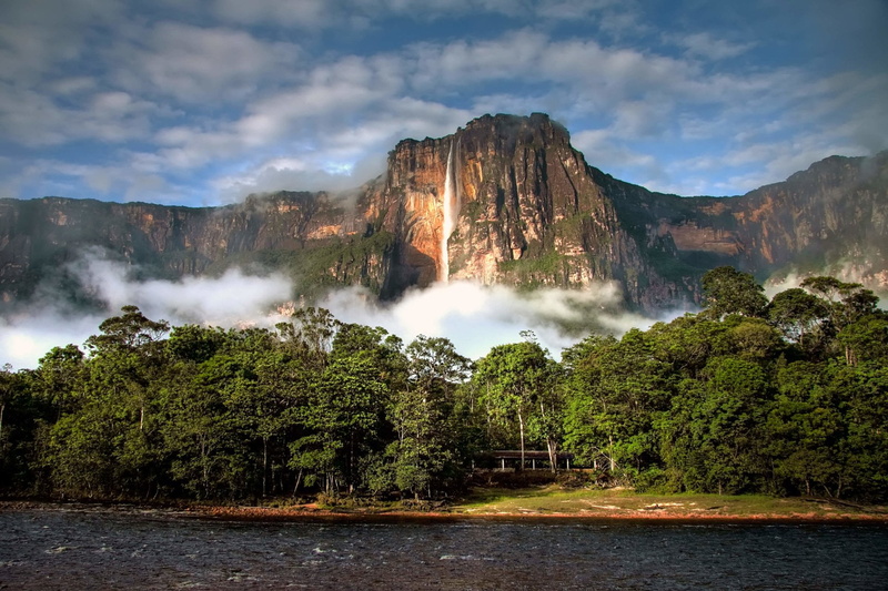 plant, Cliff, tranquility, Venezuela, power in nature, nature, Mountain, flowing water, forest, 1080P, travel destinations, idyllic, environment, tranquil scene