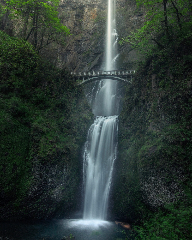 Portland, forest, long exposure, no people, tree, land, power, rock, oregon, nature, flowing, motion, bridge, beauty in nature, stream, multnomah falls