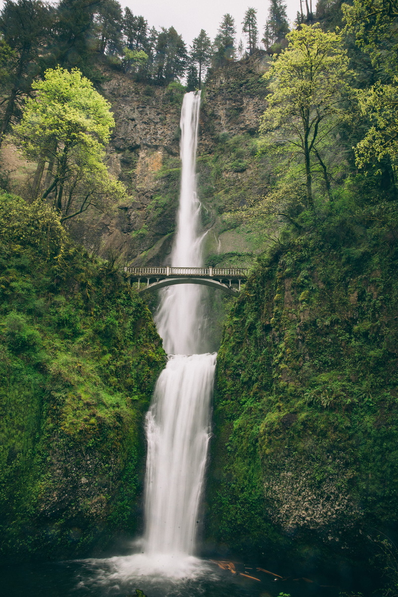 long exposure, blurred motion, multnomah falls, columbia river gorge, waterfall, 1080P, environment, power in nature, water, tree, outdoors, nature, motion