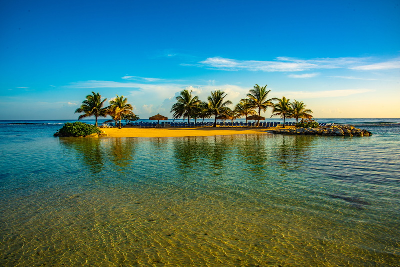 coconut palm tree, sea, land, no people, tree, man made island, jamaica, tropical climate, plant, 5K, nature, montego bay, tranquil scene, waterfront