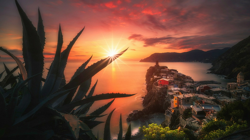 orange color, scenics - nature, no people, building exterior, liguria, europe, vernazza, sea, italy, plant, growth, architecture, beauty in nature, 4K