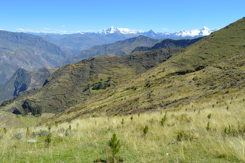 mountain peak, outdoors, land, idyllic, field, 5K, scenics - nature, tranquility, beauty in nature, hills, kunkash, meadows, meters above sea level, green color