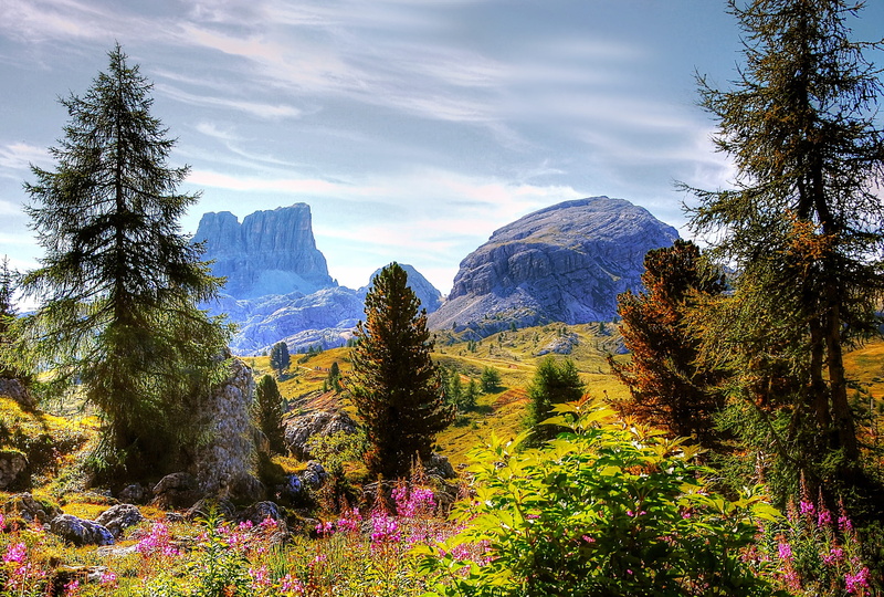 flowering plant, beauty in nature, italy, scenics - nature, 2K, land, nature, snowcapped mountain, non-urban scene, mountain group, tranquil scene, mood