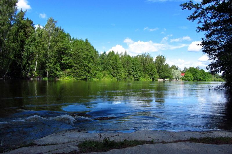 reflection, nature, rivers, river, pine, 1080P, scenery, nature and landscapes, trees, remarkable, tree