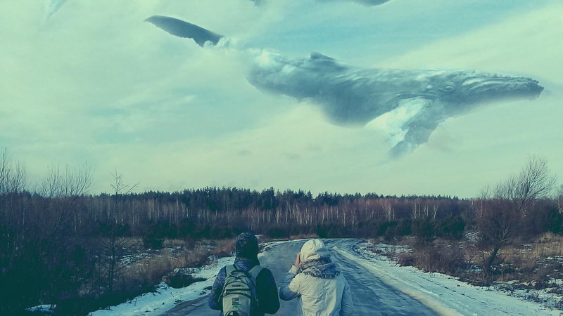 real people, whale, outdoors, landscape, cloud - sky, road, men, lifestyles, two people, plant, land, hikers, leisure activity, warm clothing, sky, snowcapped mountain