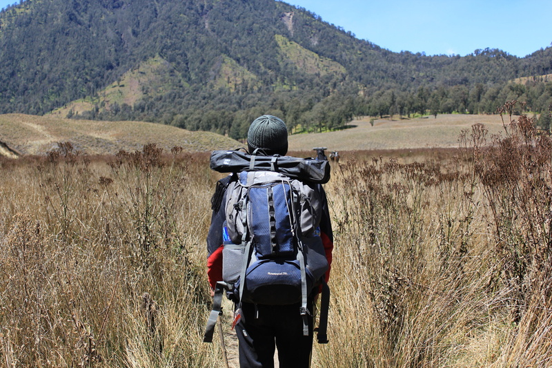 one person, dry season, mountain, land, environment, remote, tree, scenics - nature, day, riding, volcano, indonesian, hiker, activity, leisure activity