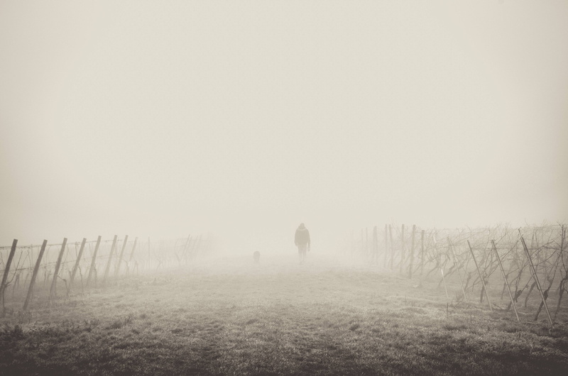 path, hiker, fences, 4K, mist, hiking, fog, walking