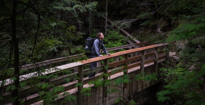 activity, standing, railing, adult, lifestyles, one person, 5K, hiker, tree, nature, forest, plant, man, outside, wood - material, hiking, men, males
