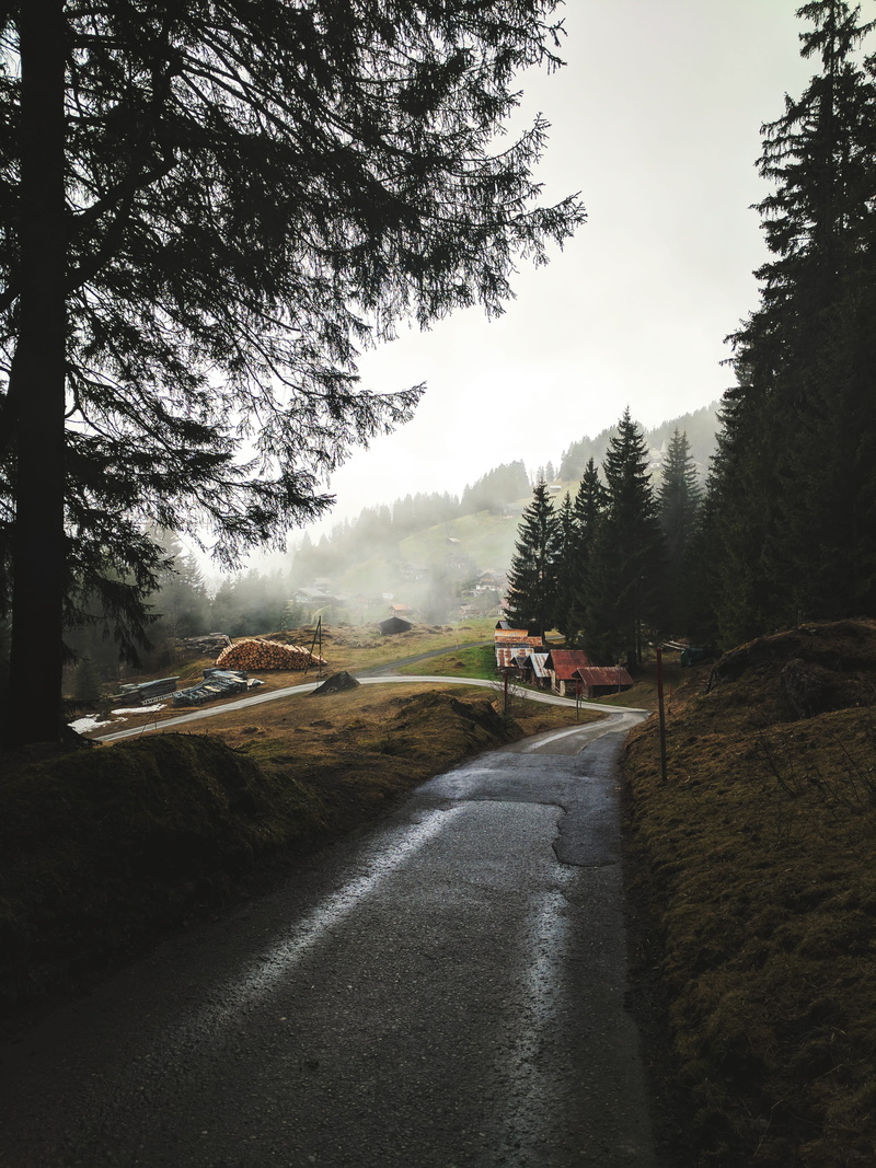 direction, escape, the way forward, transportation, fog, car, tree, trees, sky, farm, hike, day, outdoors, lauterbrunnen, motor vehicle, cloud, no people