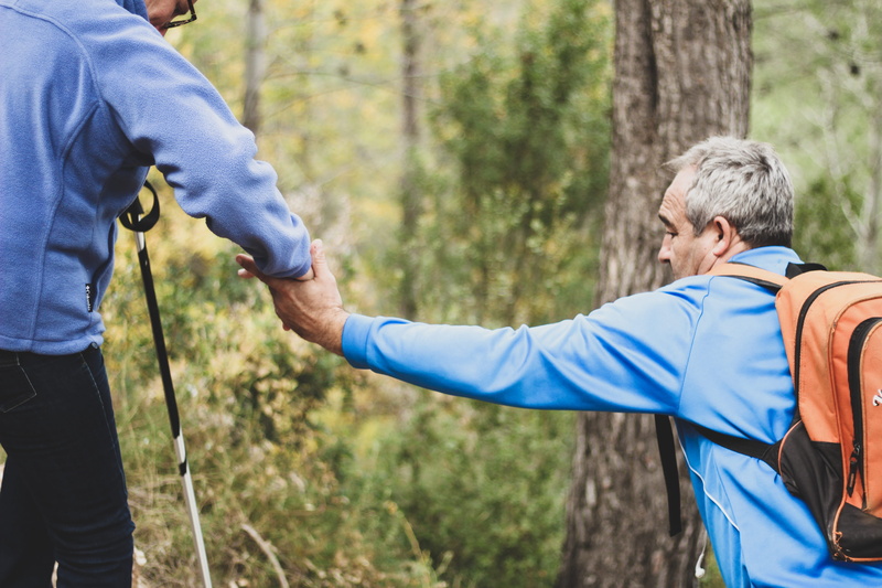 trees, outdoors, grass, adult, sports clothing, human arm, nature, helping, hikers, tree, travel, sport, trekking, males, photo, plants, human limb, woods