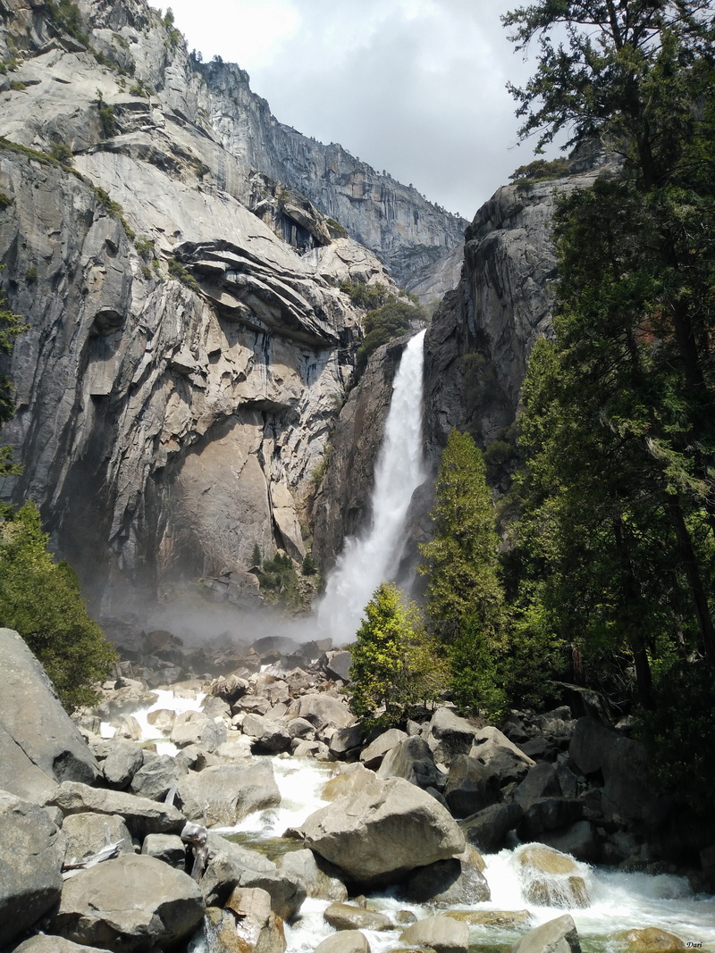 day, water, geology, cliff, waterfall, nature, flowing water, Yosemite Falls, rock, rock - object, plant, tree, outdoors, no people, land, flowing, motion