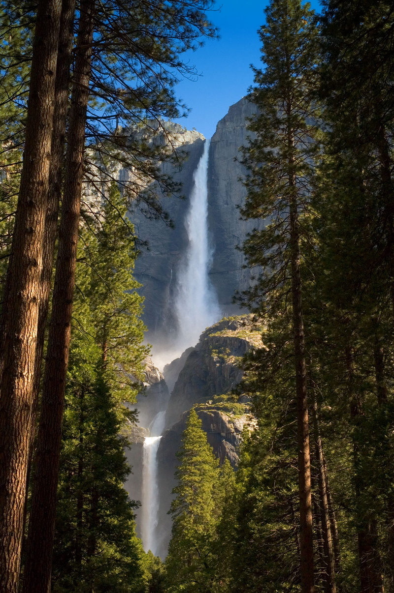 tree, river, BRAVO, 2K, trees, waterfall, Yosemite Falls, beside, daytime, yosemite National Park, landscape, nik, usa, Upper, nature, mountain, water