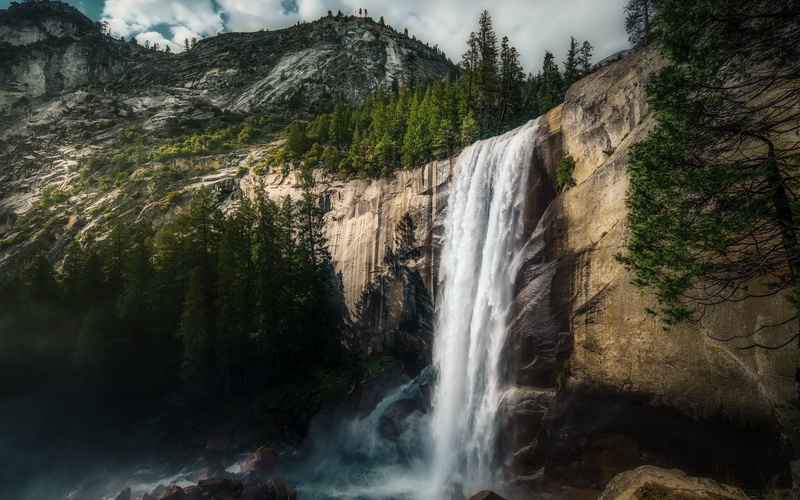 flowing, tree, power, plant, forest, blurred motion, non-urban scene, motion, power in nature, outdoors, land, scenics - nature, environment, falling water