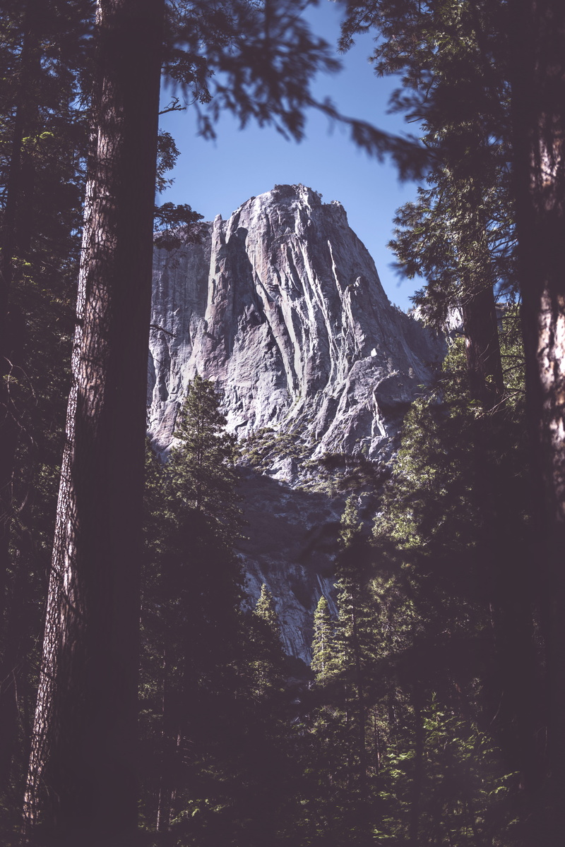 travel, national Park, yosemite Falls, park, mountain Peak, forest, national, california, wilderness Area, pine Tree, californium, outdoors, pine, sky