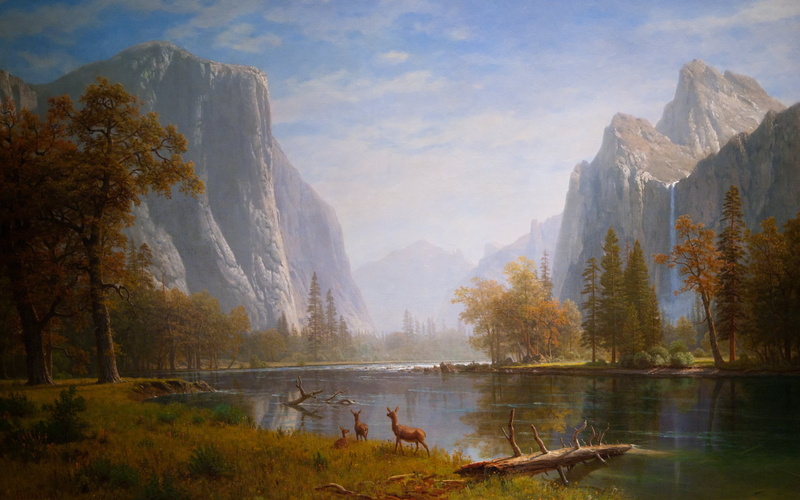 landscape, day, 1080P, outdoors, plant, mountain, yosemite Falls, travel Destinations, non-Urban Scene, mountain Peak, lake, beauty In Nature, tree, rock - Object