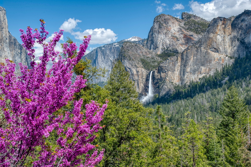 Yosemite National Park, CA, trees, California, Bridalveil Fall, The Bridal Veil Falls, 5K, waterfall, mountains, Sierra Nevada